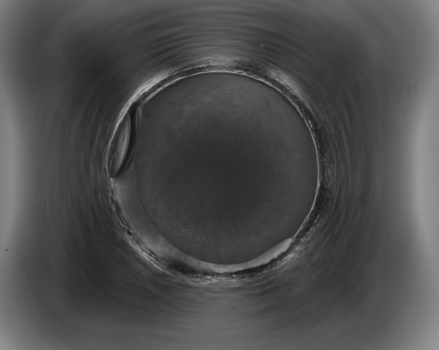 X0000087411026200705041244