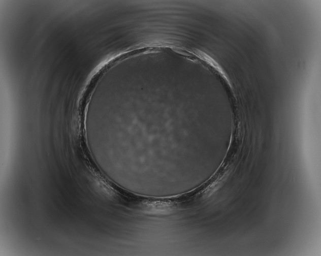 X0000087411027200705041244