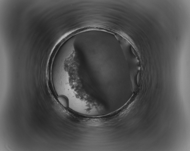 X0000087411028200705041244