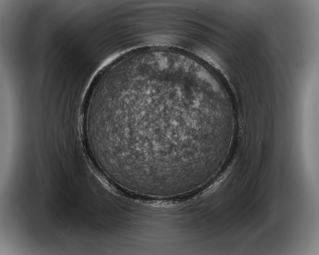 X0000087411029200705041244