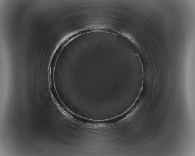 X0000087411030200705041244