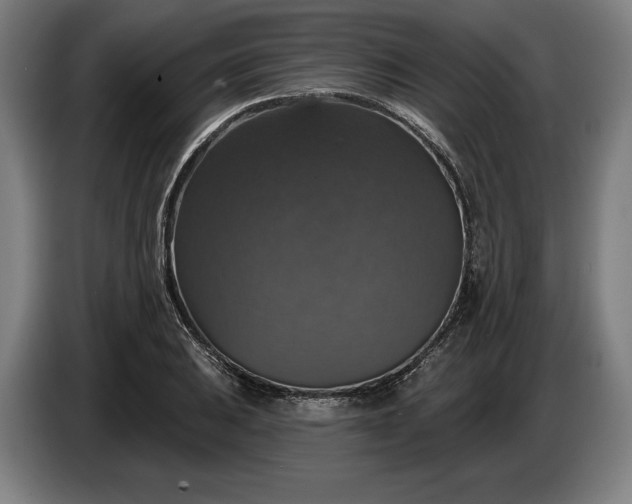 X0000087411031200705041244