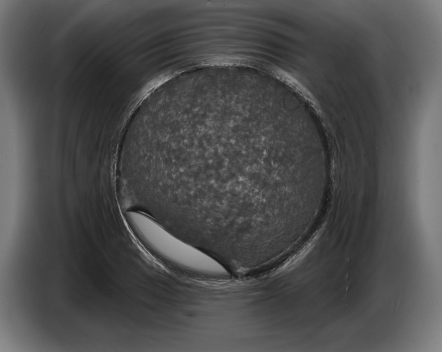 X0000087411033200705041244