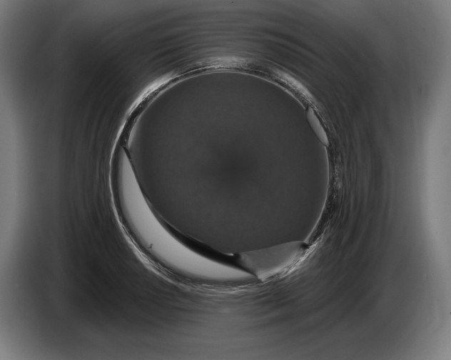 X0000087411034200705041244