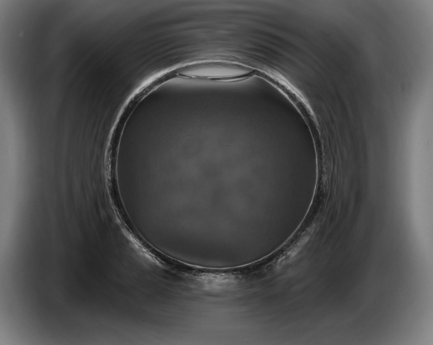 X0000087411037200705041244