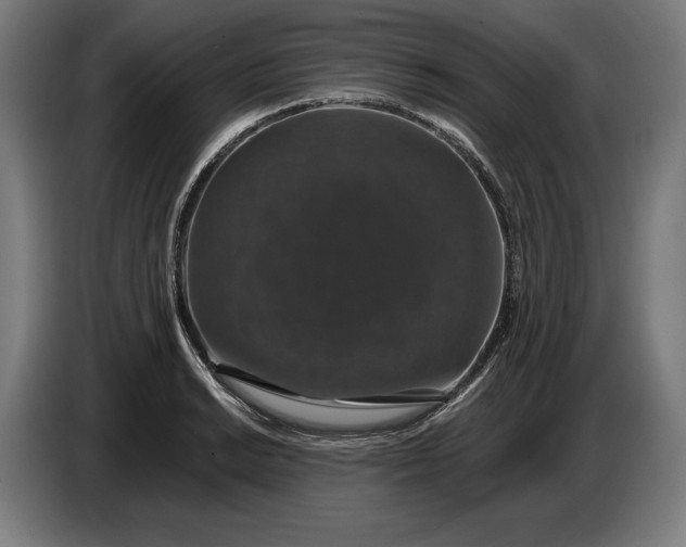 X0000087411038200705041244