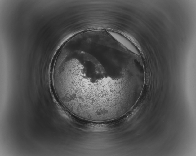 X0000087411039200705041244