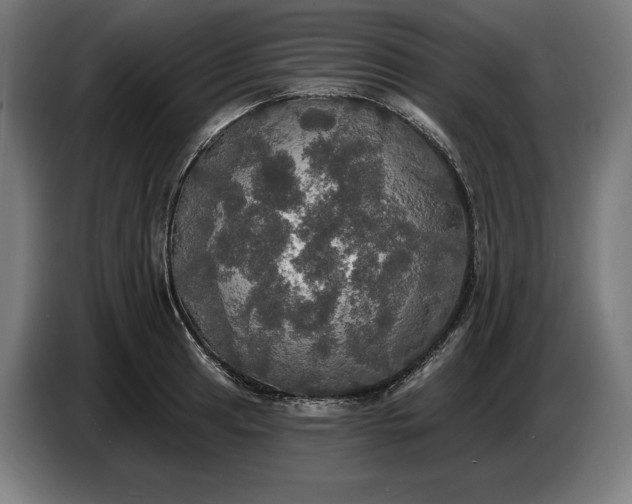 X0000087411041200705041244