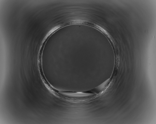 X0000087411042200705041244