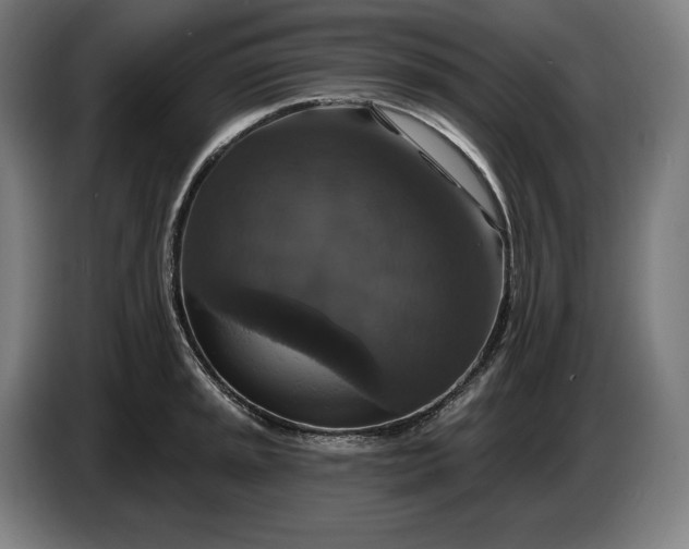 X0000087411045200705041244