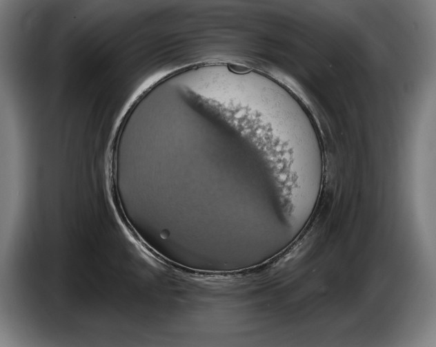 X0000087411048200705041244