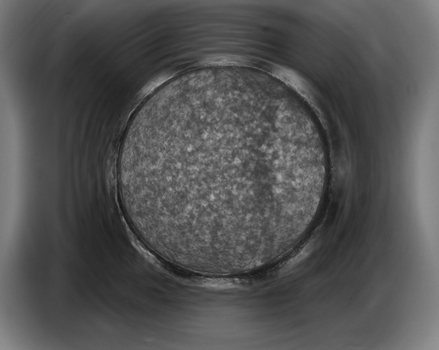 X0000087411049200705041244