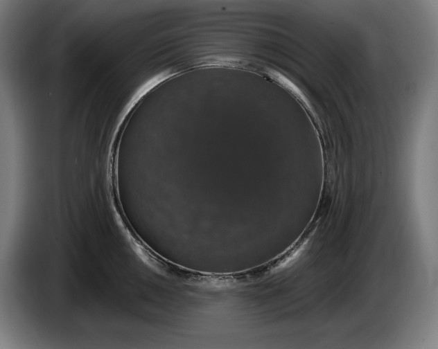 X0000087411050200705041244