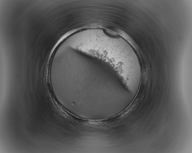 X0000087411052200705041244