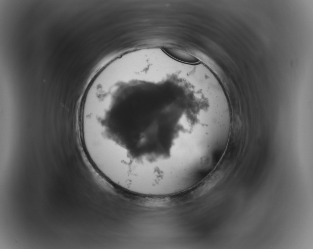 X0000087411055200705041244