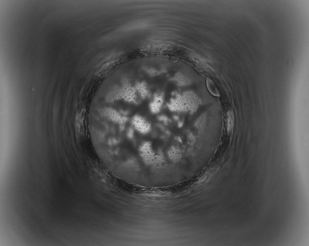 X0000087411059200705041243