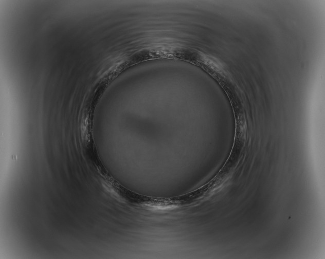 X0000087411060200705041243