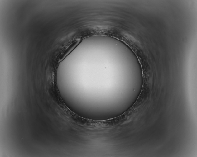 X0000087411061200705041243