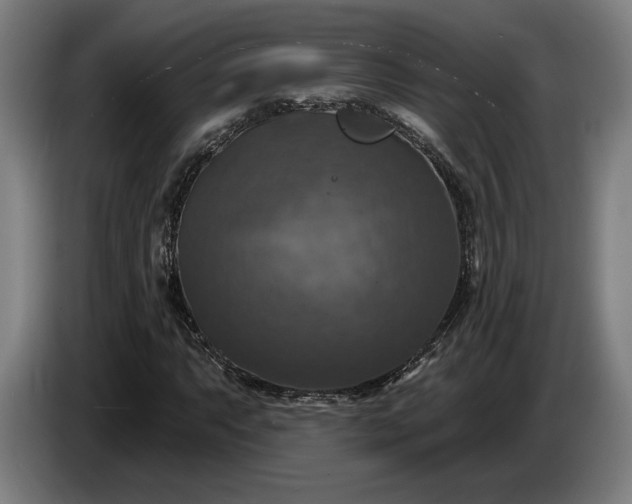 X0000087411063200705041243