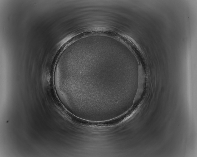 X0000087411065200705041243