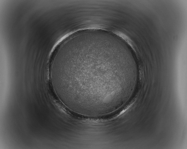 X0000087411069200705041243