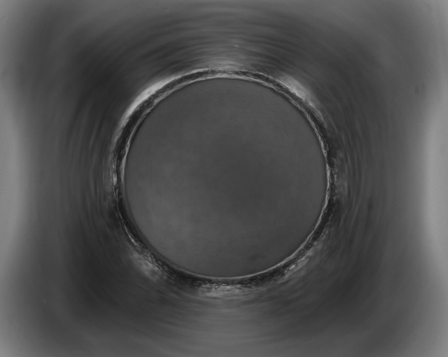 X0000087411070200705041243