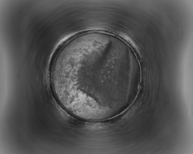 X0000087411072200705041243