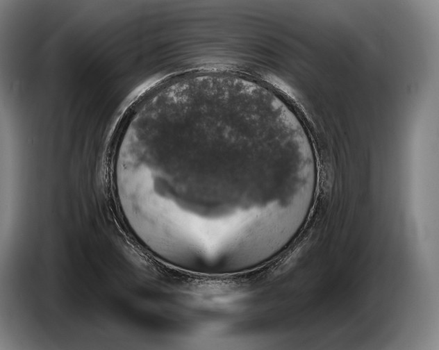 X0000087411074200705041243