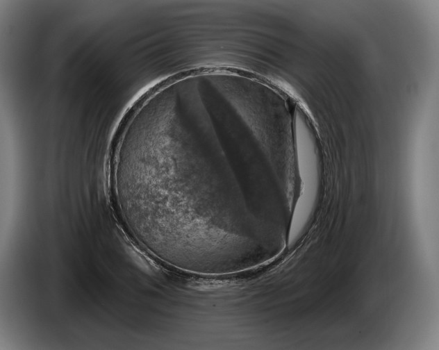 X0000087411076200705041243