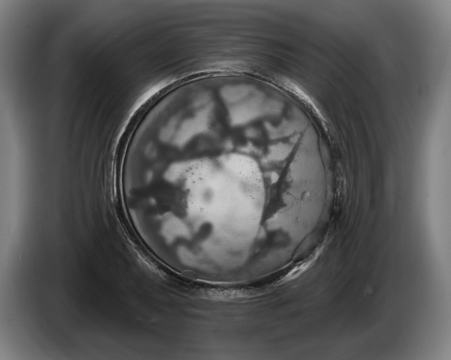 X0000087411079200705041243