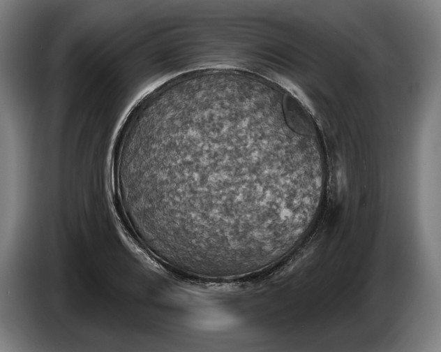 X0000087411080200705041243