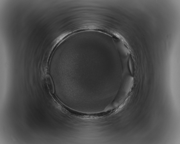 X0000087411081200705041243