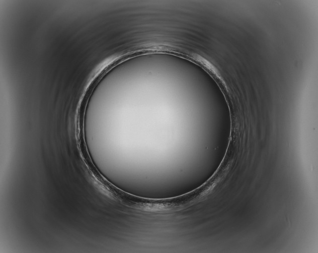 X0000087411082200705041243