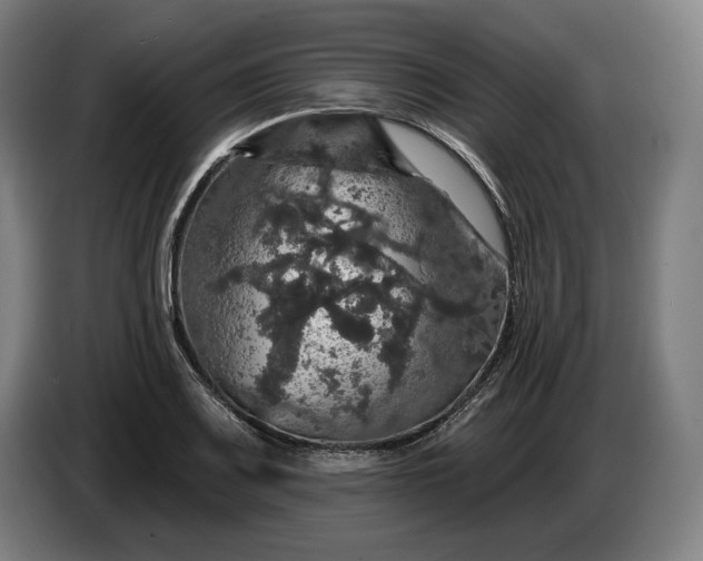 X0000087411083200705041243