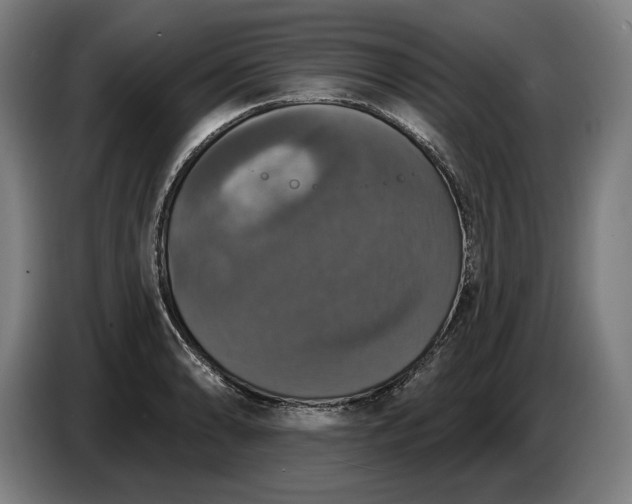 X0000087411086200705041243