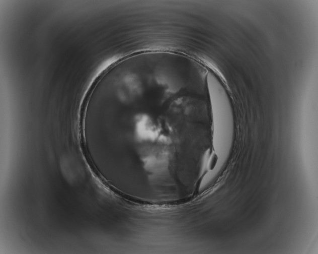 X0000087411087200705041243