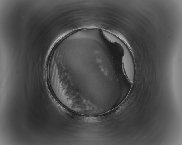 X0000087411088200705041243