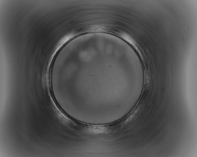 X0000087411090200705041243