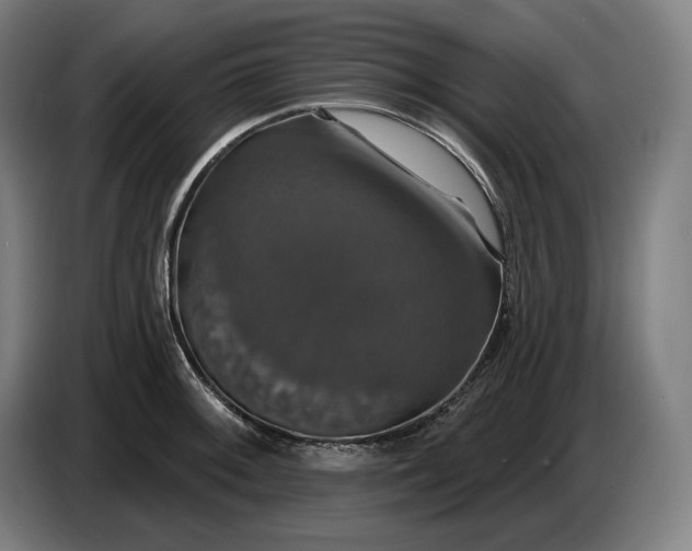 X0000087411092200705041243