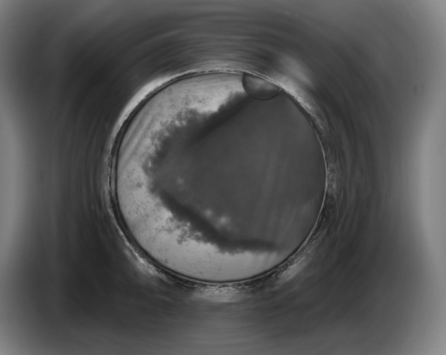 X0000087411094200705041243