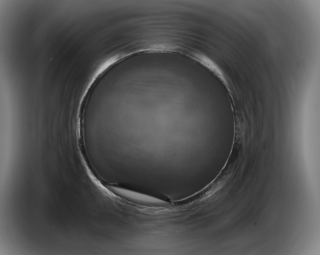 X0000087411095200705041243