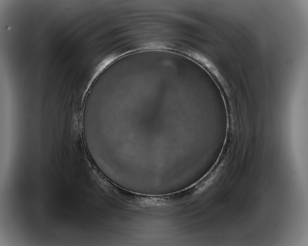 X0000087411097200705041243