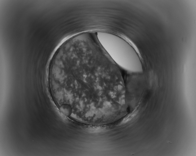 X0000087411099200705041243