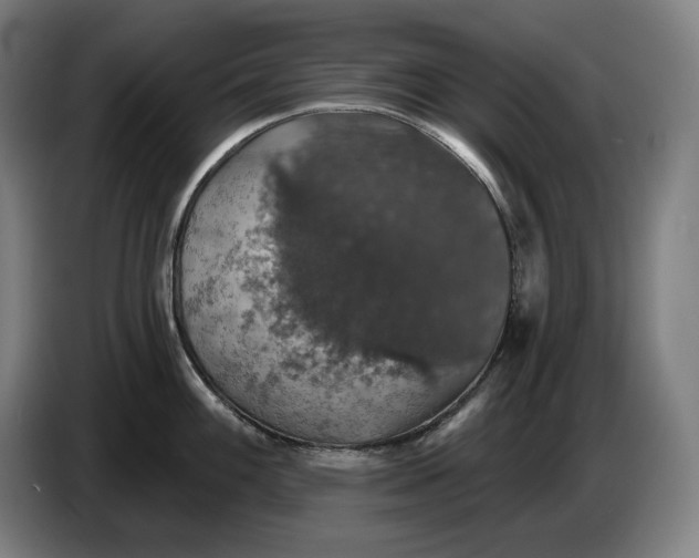 X0000087411100200705041243