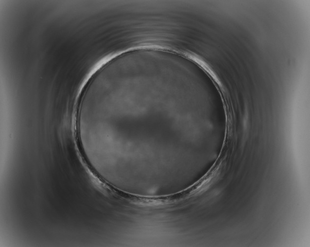 X0000087411101200705041243