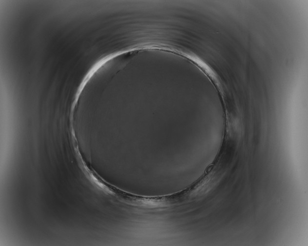 X0000087411102200705041243