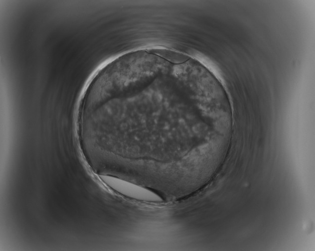 X0000087411104200705041243