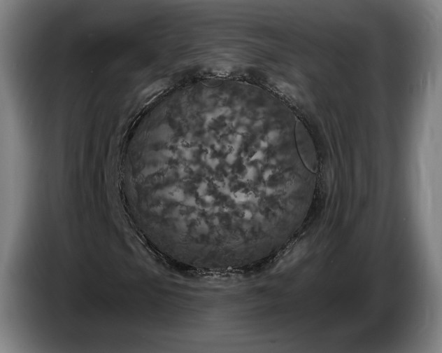 X0000087411105200705041242