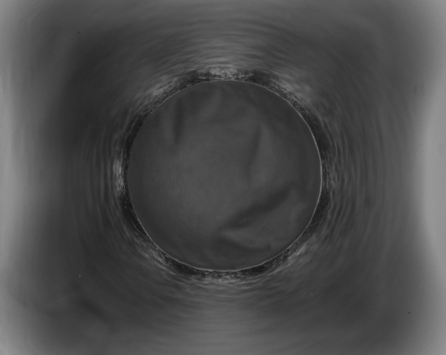 X0000087411106200705041242