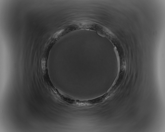 X0000087411108200705041242